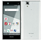 arrows NX F-02H White