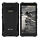 IIIF150 H2022 Black Swan