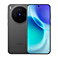 vivo X300