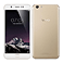 vivo Y69 Gold